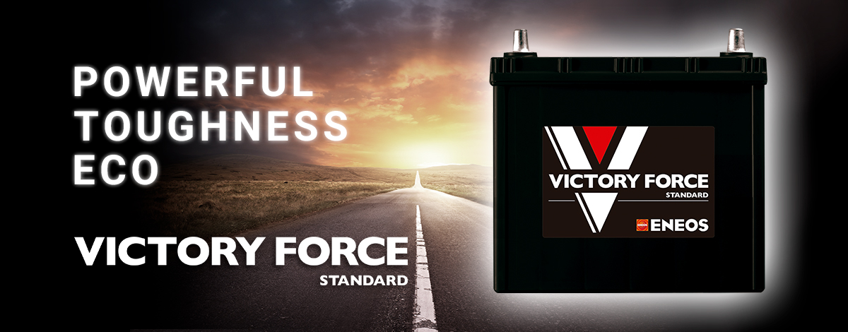 VICTORY FORCE STANDARD